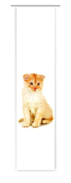Tiger Katzenbaby, Flächenvorhang Einzel